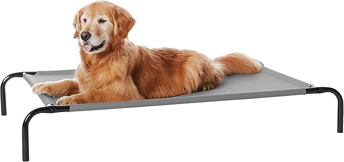 Amazon Basics Elevated Dog Bed